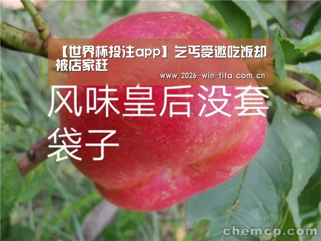 【世界杯投注app】乞丐受邀吃饭却被店家赶(图1) 投注app